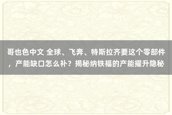 哥也色中文 全球、飞奔、特斯拉齐要这个零部件，产能缺口怎么补？揭秘纳铁福的产能擢升隐秘