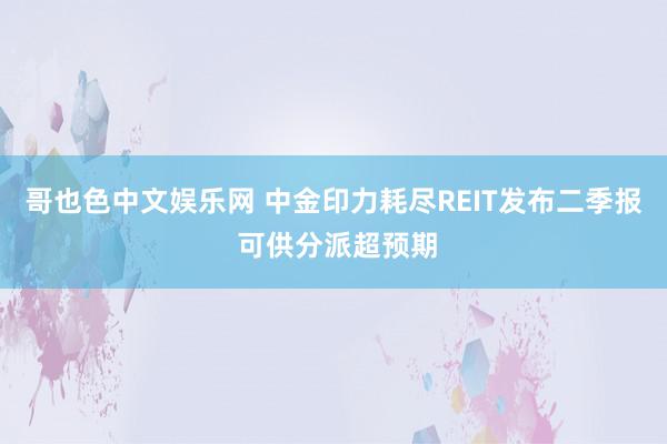 哥也色中文娱乐网 中金印力耗尽REIT发布二季报 可供分派超预期