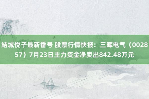 結城悦子最新番号 股票行情快报：三晖电气（002857）7月23日主力资金净卖出842.48万元