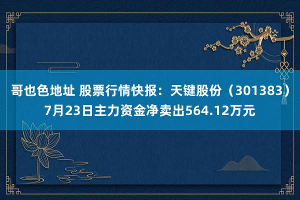 哥也色地址 股票行情快报：天键股份（301383）7月23日主力资金净卖出564.12万元