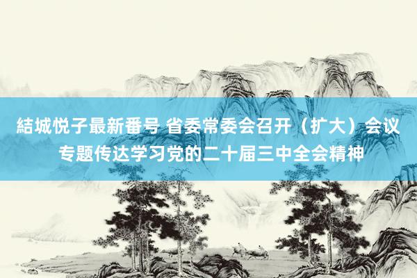 結城悦子最新番号 省委常委会召开（扩大）会议 专题传达学习党的二十届三中全会精神