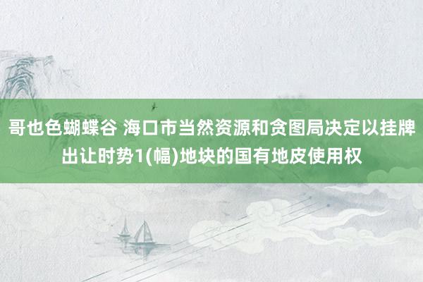 哥也色蝴蝶谷 海口市当然资源和贪图局决定以挂牌出让时势1(幅)地块的国有地皮使用权