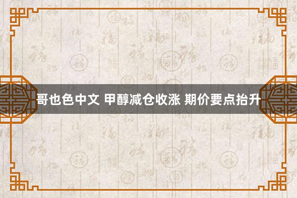 哥也色中文 甲醇减仓收涨 期价要点抬升