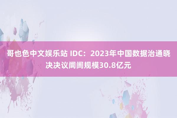 哥也色中文娱乐站 IDC：2023年中国数据治通晓决决议阛阓规模30.8亿元