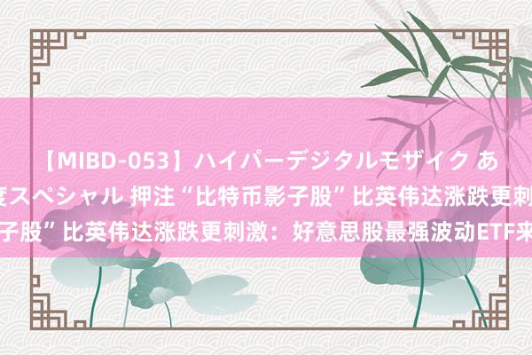 【MIBD-053】ハイパーデジタルモザイク あの娘のセックスをもう1度スペシャル 押注“比特币影子股”比英伟达涨跌更刺激：好意思股最强波动ETF来了