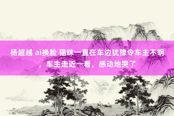 杨超越 ai换脸 猫咪一直在车边犹豫令车主不明，车主走近一看，感动地哭了