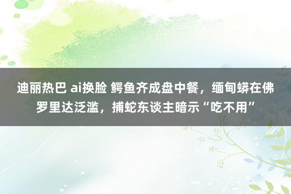 迪丽热巴 ai换脸 鳄鱼齐成盘中餐，缅甸蟒在佛罗里达泛滥，捕蛇东谈主暗示“吃不用”