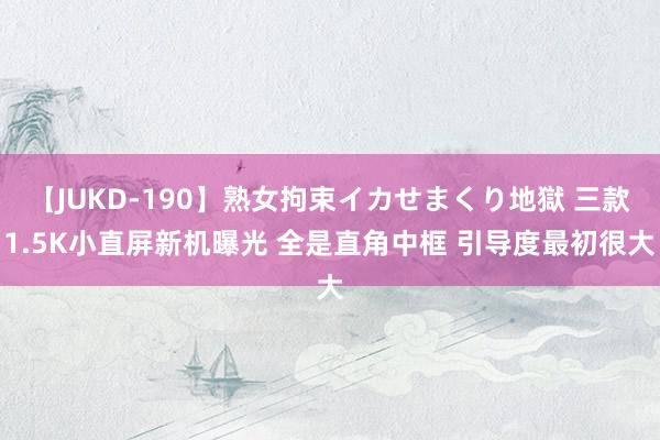 【JUKD-190】熟女拘束イカせまくり地獄 三款1.5K小直屏新机曝光 全是直角中框 引导度最初很大